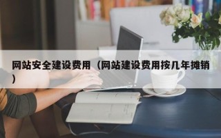 拉萨网站安全建设费用（网站建设费用按几年摊销）
